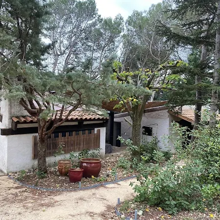 Avec Patio Et Pool House