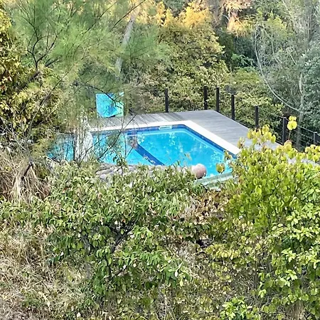 Avec Patio Et Pool House Tatil Evi *